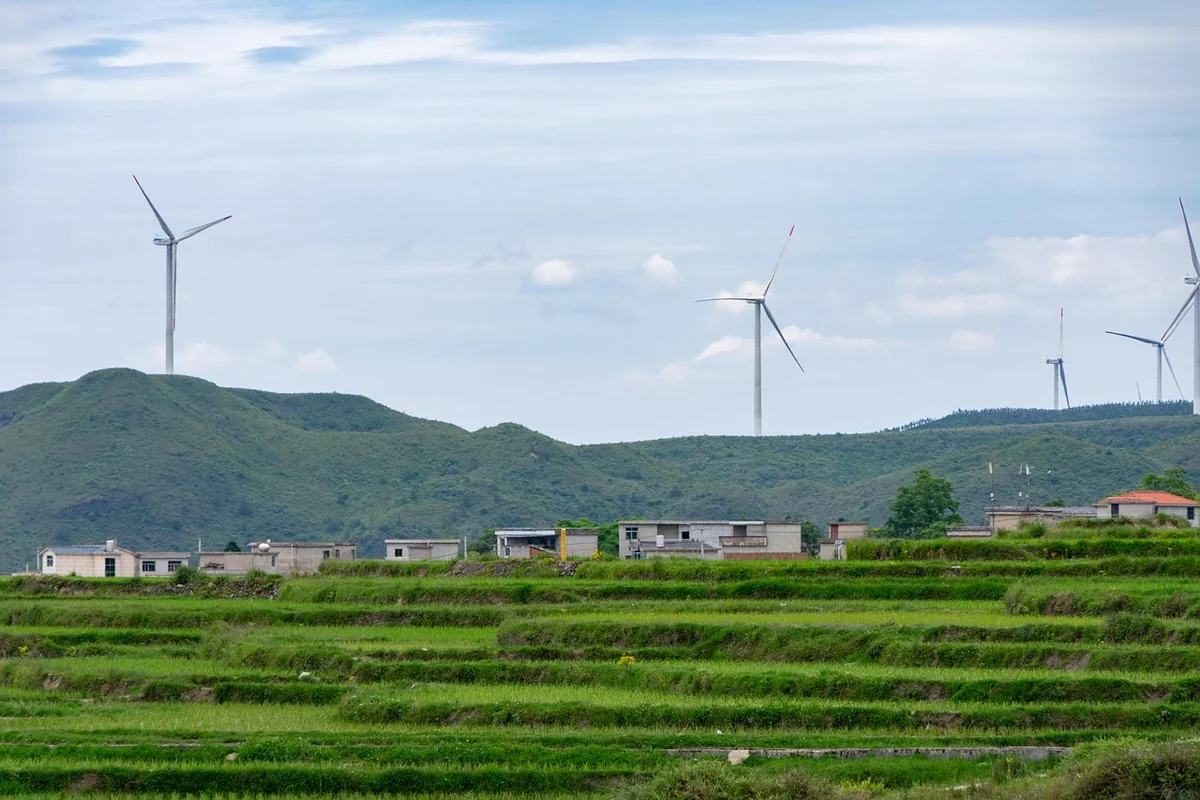 Développement durable : rentable ou pas ?