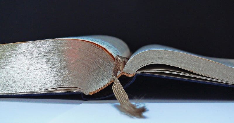 Blog business : lire avec une décision en tête
